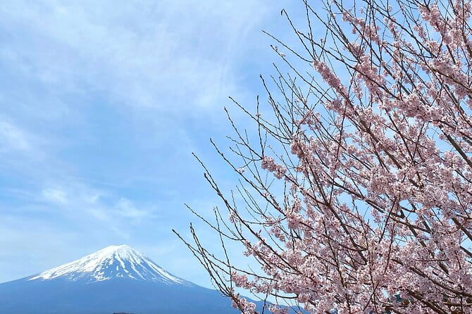 Full Day Private Tour to Mt Fuji by Luxury Vehicle - Booking and Cancellation Policy