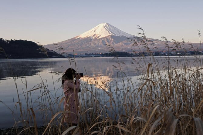 Full Day Private Tour to Mt Fuji by Luxury Vehicle - Tour Reviews