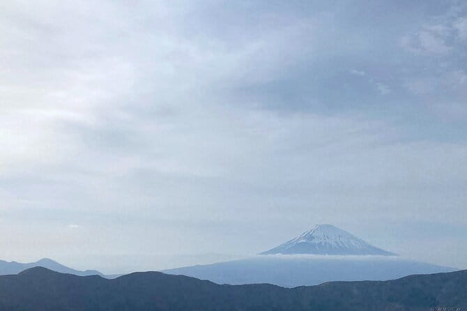 Full Day Private Tour to Mt Fuji by Luxury Vehicle - Customization Options