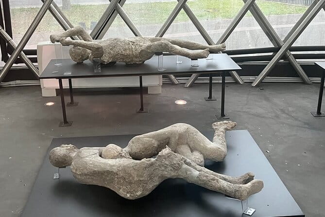 Full Day Private Tour to Pompeii, Herculaneum and Oplontis - What Is Included and What Isn’t