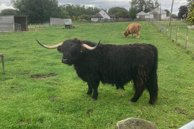 Full-Day Private Tour to Urquhart Castle Loch Ness and Inverness - Meeting and Pickup