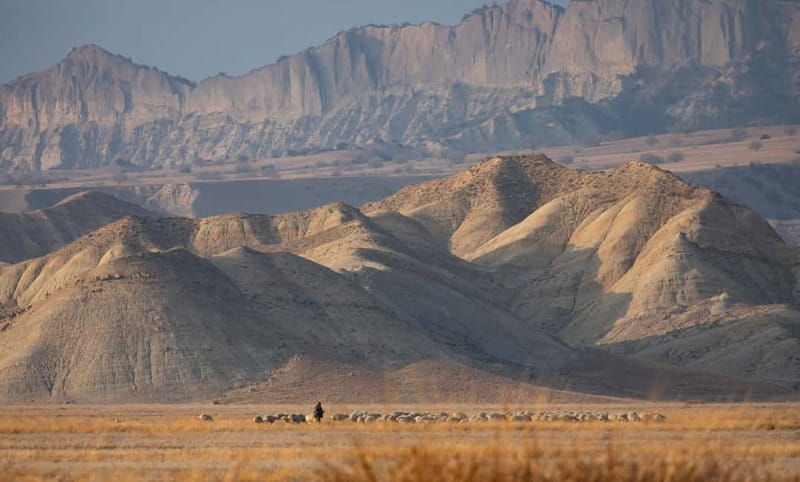 Full-day Private Wilderness tour in Vashlovani National Park - Ancient Ruins and Geological Wonders