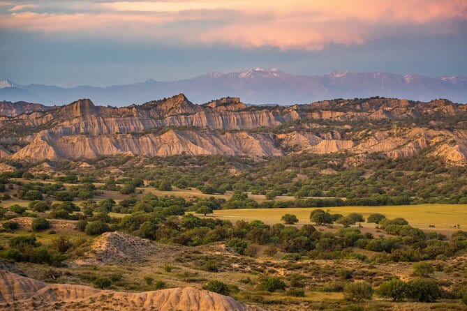 Full-Day Private Wilderness Tour in Vashlovani National Park - What Sets This Tour Apart?