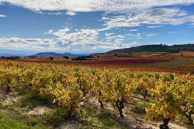 Full-Day Private Wine Tasting Tour in La Rioja with lunch - How the Tour Unfolds