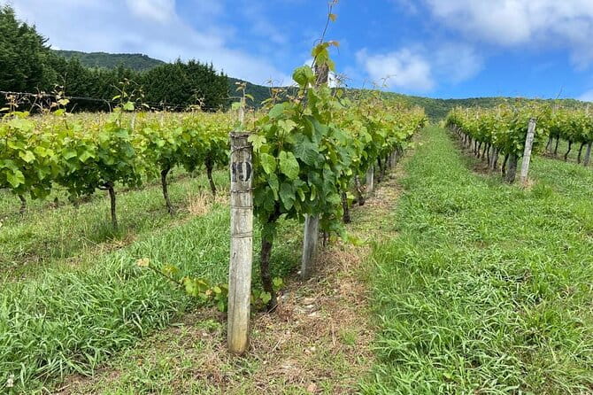 Full-Day Private Wine Tasting Tour in La Rioja with lunch - FAQ