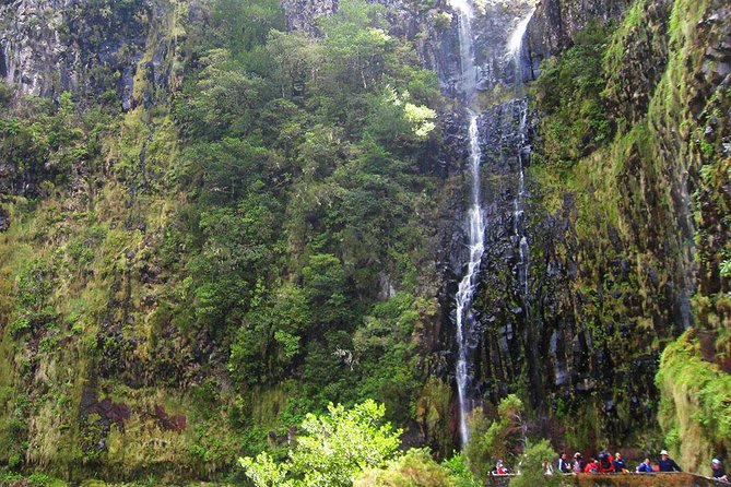 Full-Day Rabacal Levada Walk From Funchal - Discover the Rabaçal Valley