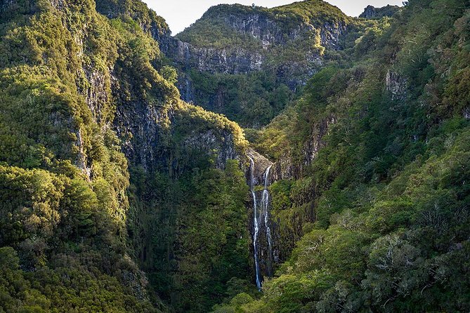 Full-Day Rabacal Levada Walk From Funchal - Marvel at the Lagoon