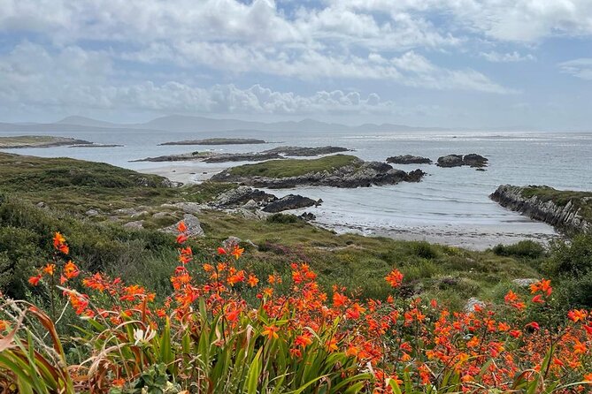 Full-Day Ring of Kerry Tour From Killarney - Scenic Views of Coomakista Pass