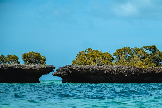 Full Day Safari Blue Zanzibar - Overview of Safari Blue Zanzibar