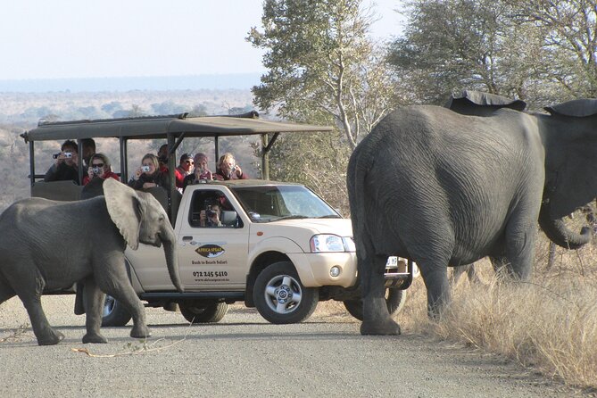 Full Day Safari Shared Tour at Kruger National Park - Pickup and Meeting Points