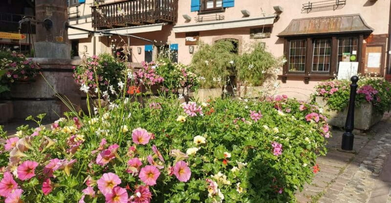 Full Day Safari Tour Villages & Vineyards Wine tasting - An In-Depth Look at the Alsace Full-Day Safari Tour