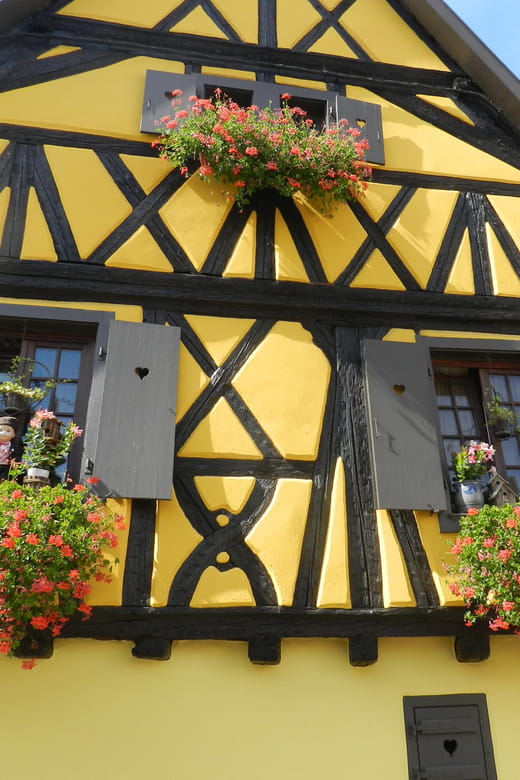 Full Day Safari Tour Villages & Vineyards Wine tasting - Price and Value: Is It Worth It?