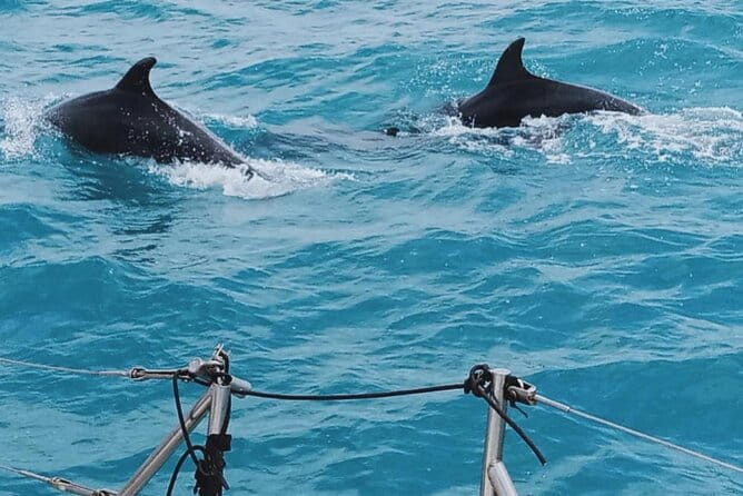 Full Day Sailing Tour Catania-Acitrezza - FAQ