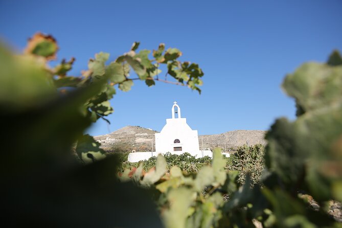 Full Day Santorini Photo Workshop - Personalized Instruction From Professionals