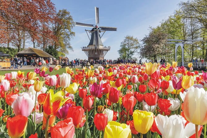 Full-Day Skip the Line Keukenhof and Canal Cruise from Amsterdam - Key points / Takeaways