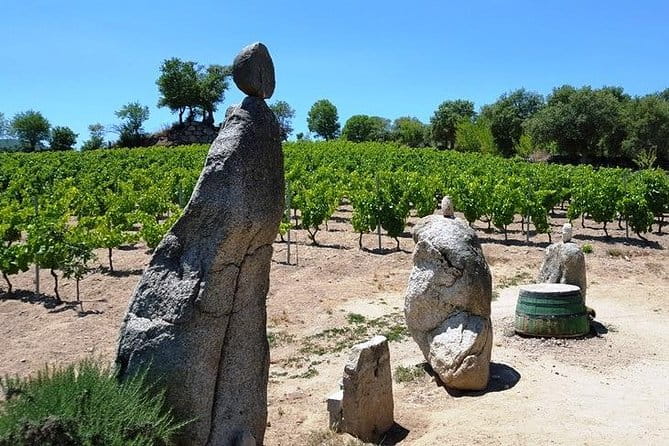 Full Day-Small group: Barbagia Experience: Mamoiada and Orgosolo from Cagliari - Comfortable Transport and Personal Touch