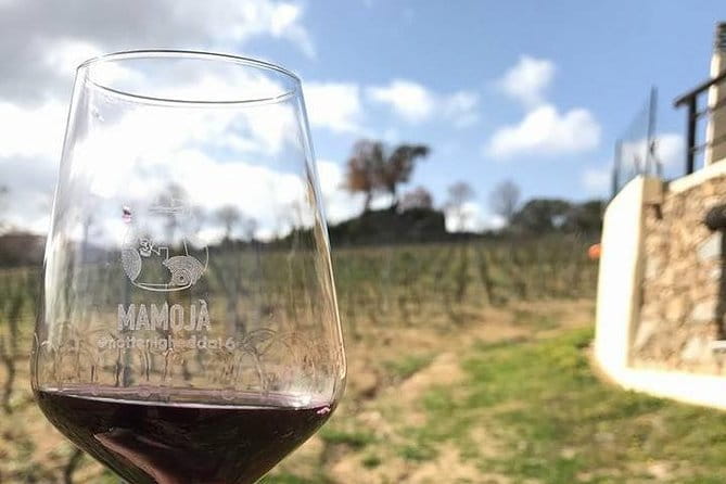 Full Day-Small group: Barbagia Experience: Mamoiada and Orgosolo from Cagliari - Duration and Practical Considerations