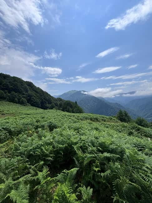 Full Day Snow Tours from Batumi - Optional Activities: For the Thrill Seekers