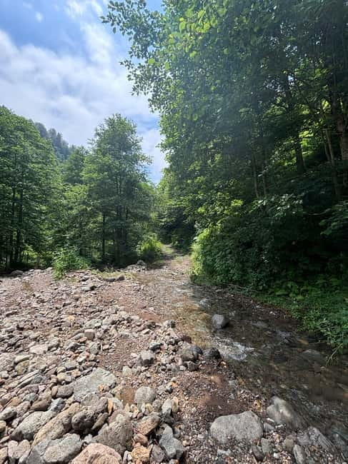 Full Day Snow Tours from Batumi - Practical Considerations and Value