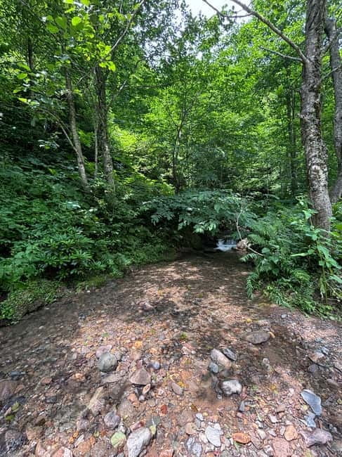 Full Day Snow Tours from Batumi - Who Would Love This Tour?