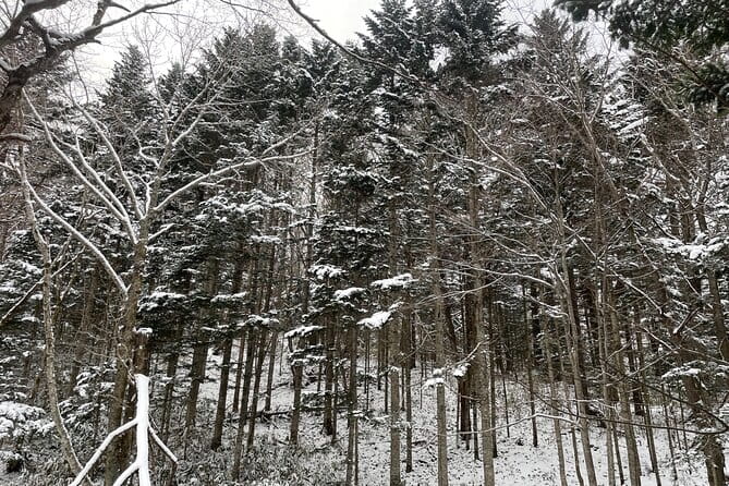 Full Day Snowshoeing Adventures With Onsen. - Frequently Asked Questions