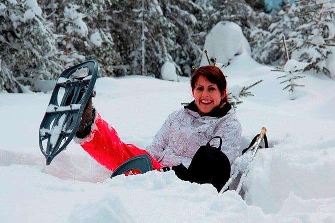 Full-Day Snowshoeing in High Tatras with Local Mountain Guide from Poprad - Practical Details: Logistics, Price, and Who It’s For