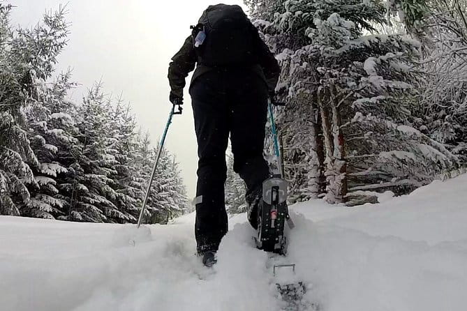 Full-Day Snowshoeing in High Tatras with Local Mountain Guide from Poprad - What Reviewers Are Saying
