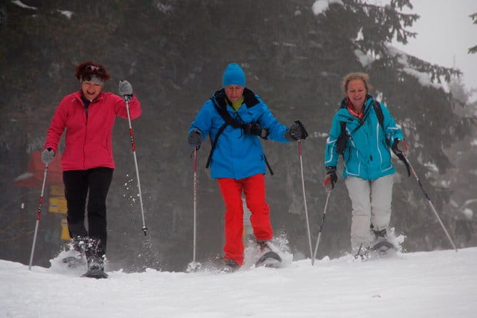 Full-Day Snowshoeing in High Tatras with Local Mountain Guide from Poprad - Who Should Book This Tour?
