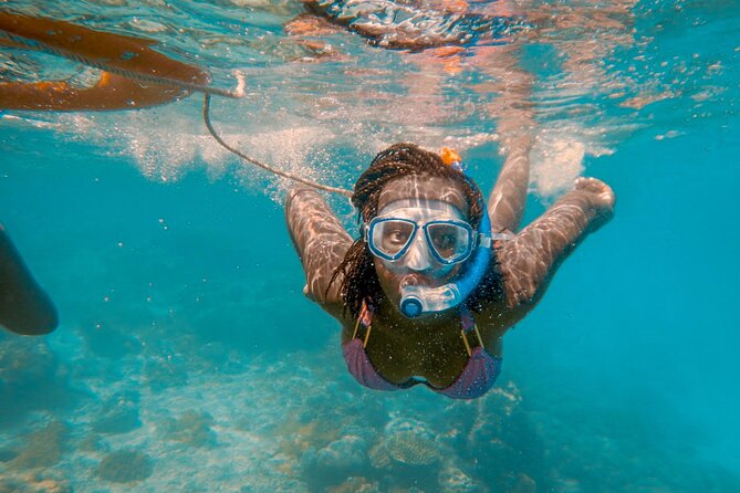 Full-Day Special Wasini Island Tour With Snorkeling and Lunch - Tour Overview