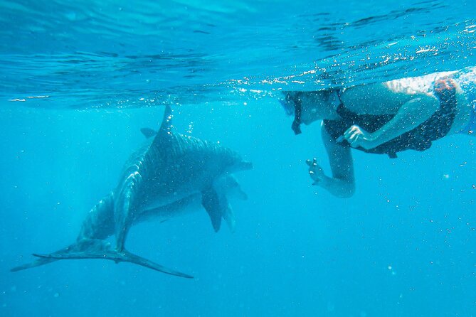 Full-Day Special Wasini Island Tour With Snorkeling and Lunch - Confirmation and Accessibility