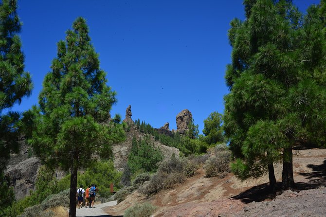 Full Day to Bandama Volcano, Center and High Peaks of Gran Canaria & Roque Nublo - Exploring Volcanic Landscapes
