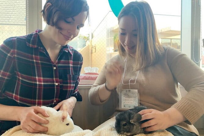 Full-Day Tokyo Private Tour With a Local Guide - Additional Information