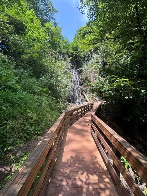 Full Day Tour from Batumi to Waterfalls - Key Points / Takeaways