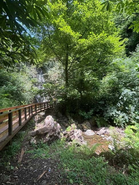 Full Day Tour from Batumi to Waterfalls - Who Will Get the Most Out of This Tour?