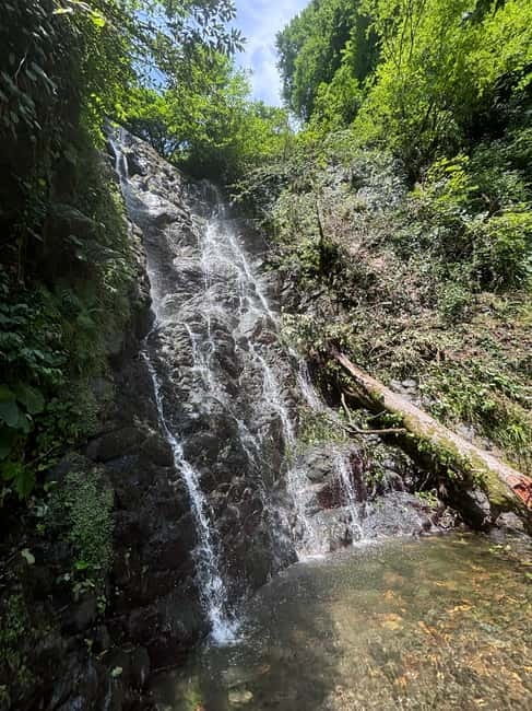 Full Day Tour from Batumi to Waterfalls - Price and Logistics: What You Need to Know