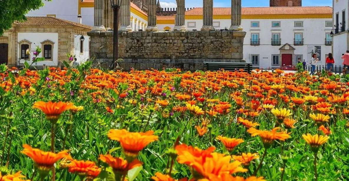 Full-Day Tour From Lisbon to the History of Évora. - Key Points