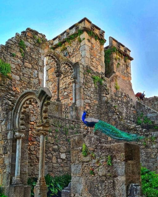 Full-Day Tour From Lisbon to the History of Évora. - Recap