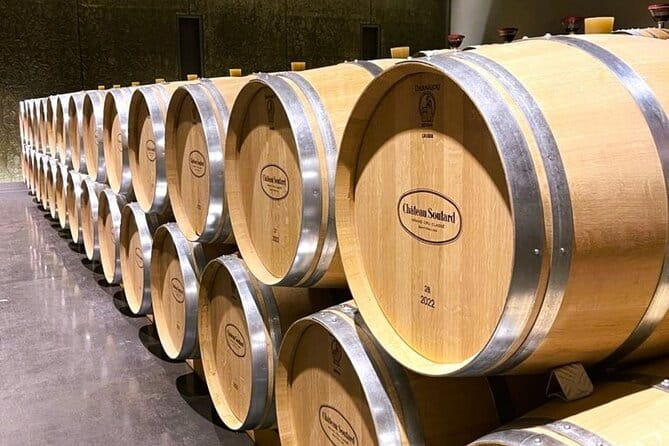 Full Day Tour Growth Classified Chateau and Village Saint Emilion - Who Will Get the Most Out of This Tour?