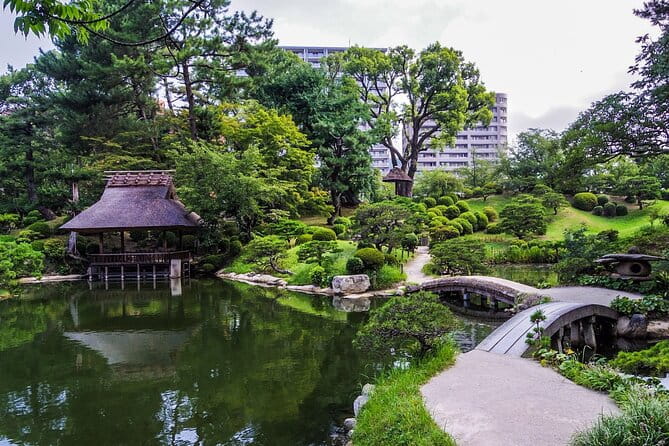 Full Day Tour Hiroshima Hidden Gems and Highlights - Reviews and Feedback From Participants