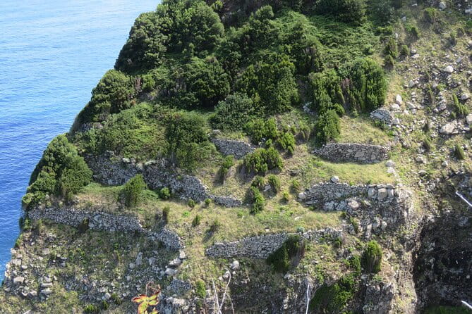 Full Day Tour in 4x4 Jeep to Porto Moniz and Fanal - The Value of a Guided Small-Group Adventure