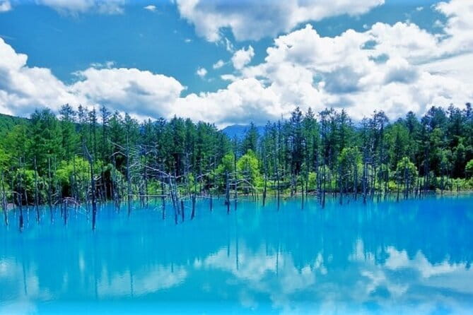 Full Day Tour in Hokkaido and Lake Toya - Suggested Itinerary