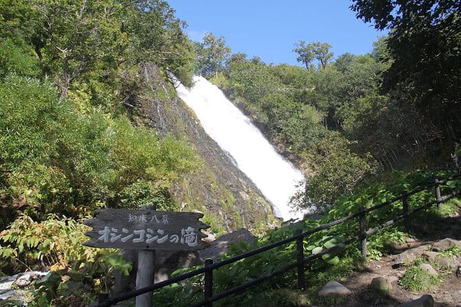 Full-day Tour in Hokkaido Natural Heritage Shiretoko Adventure - Health and Safety Conditions