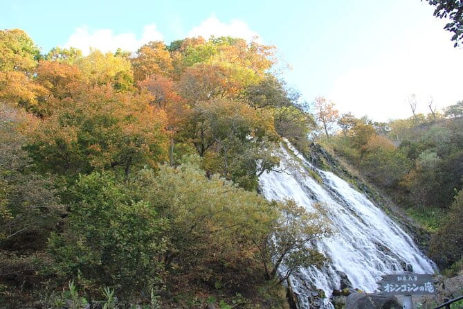 Full-day Tour in Hokkaido Natural Heritage Shiretoko Adventure - Cancellation and Operation Policies