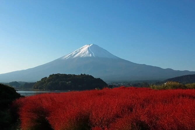 Full Day Tour in Mount Fuji and Oishi Park With Fruit Picking - Mount Fuji Experience