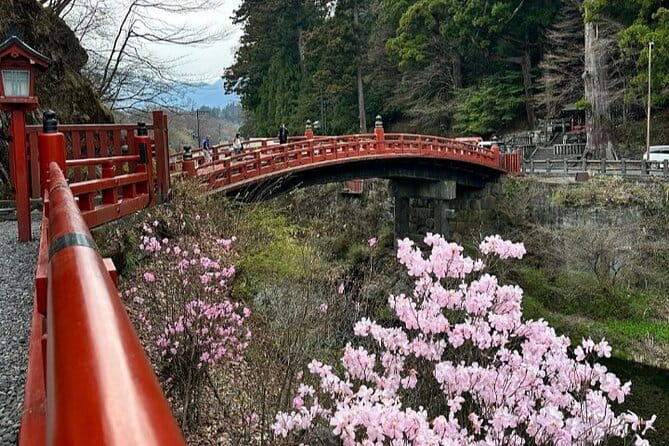 Full Day Tour in Nikko With Pickup - Customization Options for Your Tour
