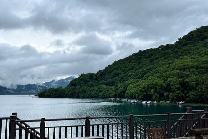 Full Day Tour in Nikko With Pickup - Contact and Support Information