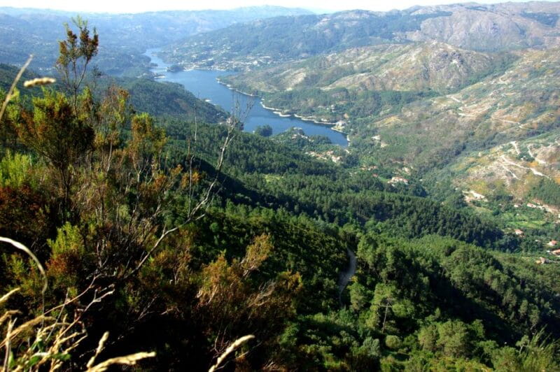 Full Day Tour in Peneda Gerês National Park - Price and Value