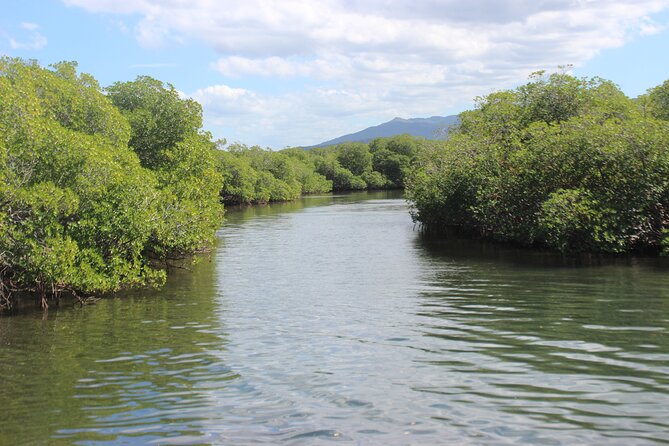 Full-Day Tour Isla Bonita Deluxe - Sand Bar Rejuvenation