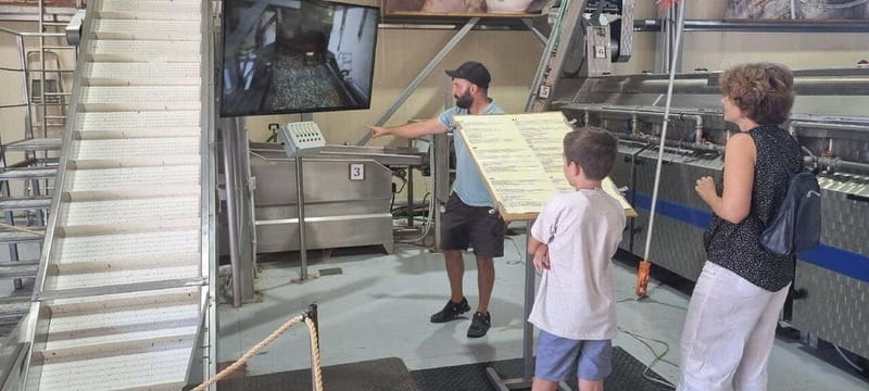 Full day tour Knossos,Zeus's land,lasithi&olive oil factory - Key Points / Takeaways