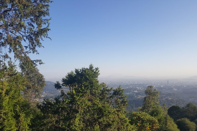 Full Day Tour of Addis Ababa With Hotel Pickup and Drop-Off - Merkato, the Giant Open-Air Market